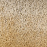 Ковровое покрытие OZ CAPLAN DEFIER 01800A cream