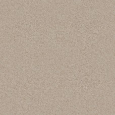 Линолеум коммерческий Tarkett Pragmatic FOCUS 1