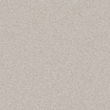 Линолеум коммерческий Tarkett Pragmatic FOCUS 2