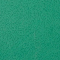 Линолеум спортивный Спортфлор Gem 6,5 TL65-00401 GREEN