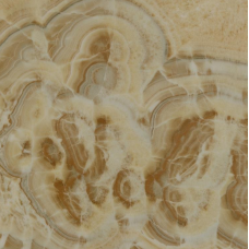 Керамогранит Juliano Super Brilliant бежевый 80*80 MJ8308А