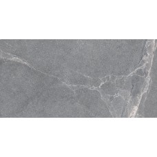 Керамогранит Lasselsberger Диккенс 6260-0225 30*60,3 серый Керамогранит Lasselsberger Диккенс 6260-0225 30*60,3 серый
