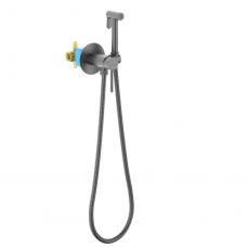 Смеситель с гигиеническим душем AQUATEK Европа AQ1021BGM встраиваемый оружейная сталь