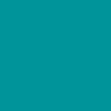 Линолеум спортивный Tarkett Omnisport Reference R65 TEAL