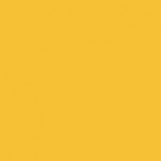 Линолеум спортивный Tarkett Omnisport Reference R65 YELLOW